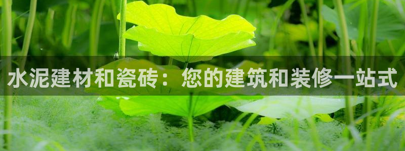 杏鑫平台招商怎么样可靠吗