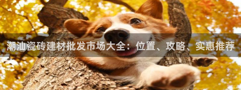 杏鑫娱乐开发团队