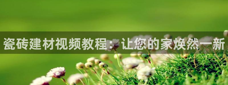 杏鑫官网最新信息新闻