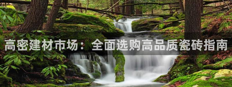 杏鑫娱乐是真的吗还是假的