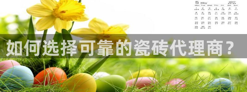杏鑫官方app代理