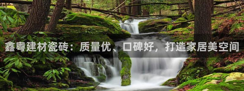 杏鑫官网最新信息新闻