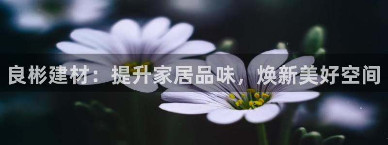 杏鑫娱乐官网