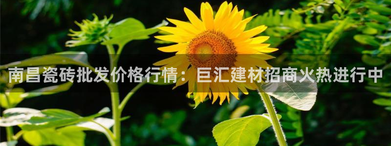 杏鑫官网最新信息
