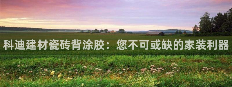 杏鑫招商总代