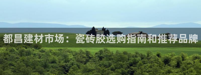 杏鑫平台代理怎么样可靠吗