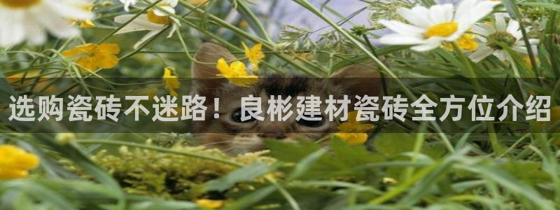 杏鑫官网注册账号怎么注册的