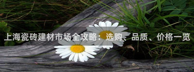 杏鑫平台登录注册