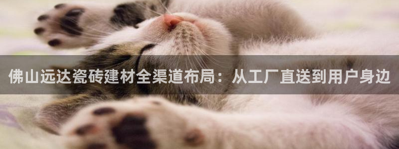 杏鑫平台招商电话号码是多少