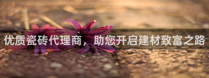 杏鑫注册登录代理公司