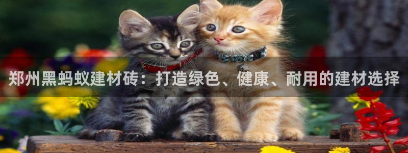 杏鑫娱乐官网首页