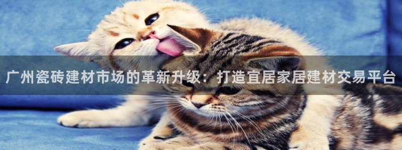 杏鑫平台平台娱乐怎么样