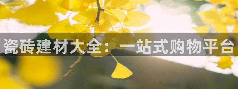 杏鑫平台代理注册多少钱一年