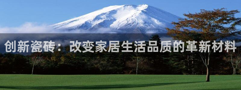 杏鑫平台怎么样