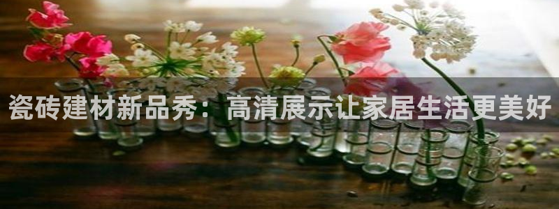 杏鑫官网最新信息新闻