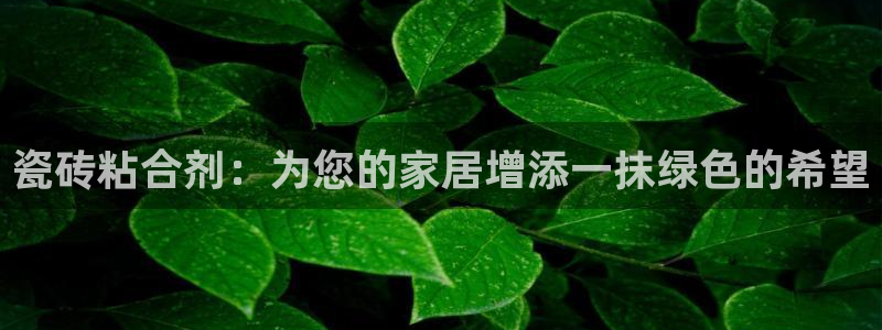 杏鑫注册登录代理公司