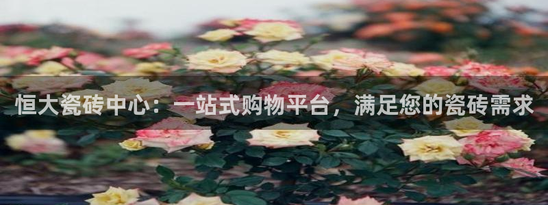 杏鑫平台招商电话