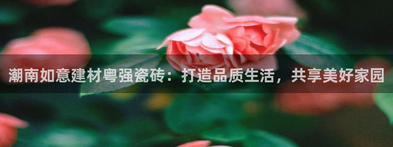 杏鑫平台招商电话