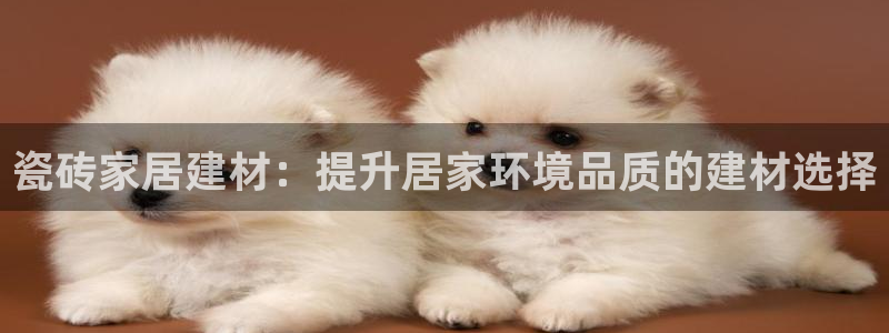 杏鑫平台登录地址是什么