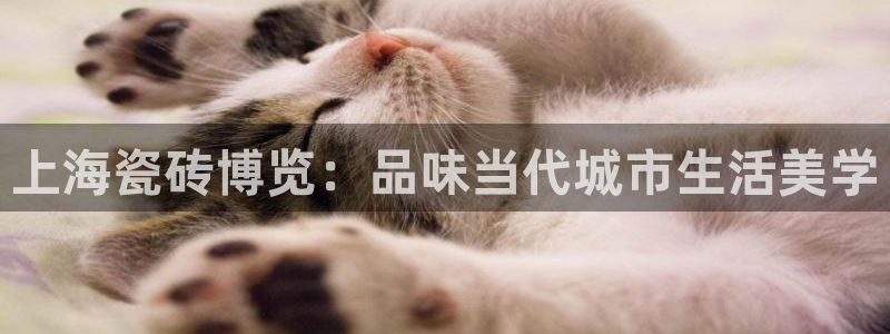 杏鑫娱乐官网下载