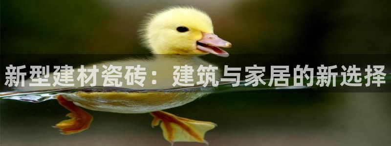 杏鑫平台怎么样黑钱吗是真的吗知乎