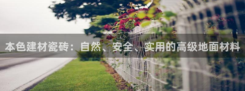 杏鑫平台登陆