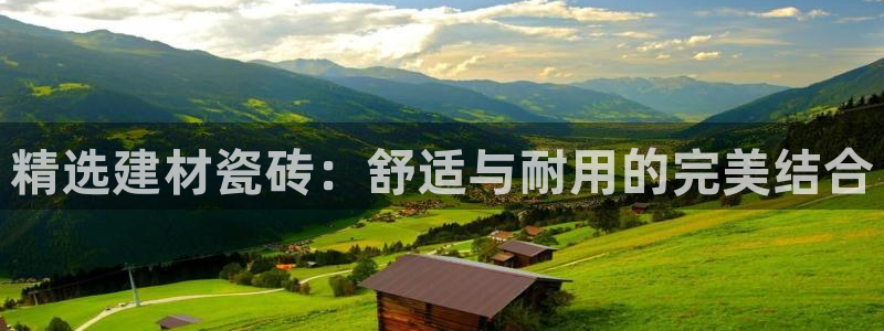 杏鑫平台代理注册登录不了怎么办呀视频