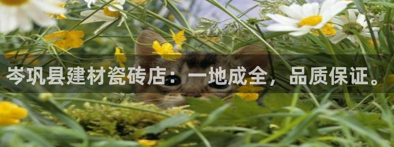 杏鑫平台念7O777