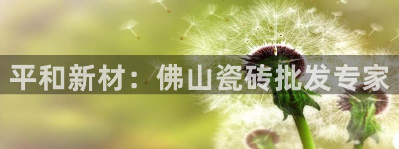 杏鑫官网最新信息新闻