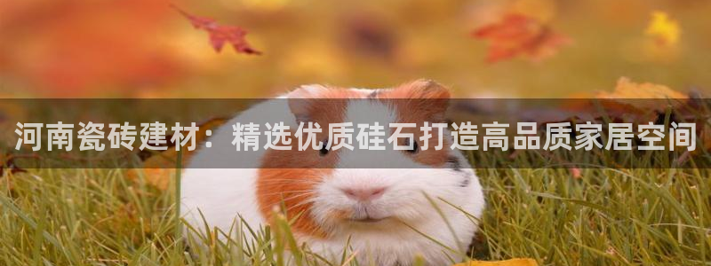 杏鑫平台直属