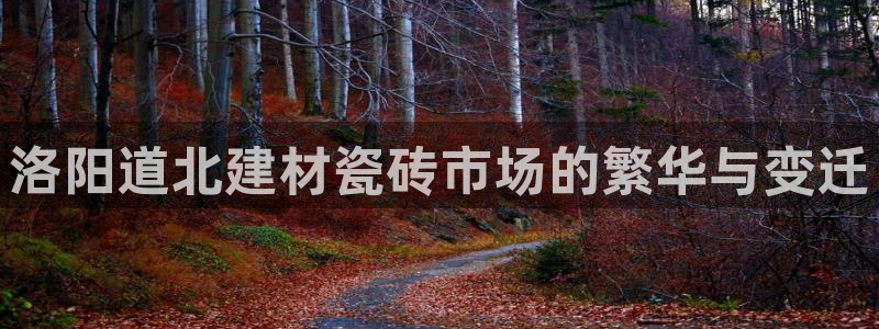 杏鑫平台招商怎么样