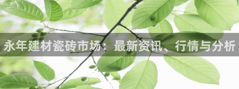 杏鑫官网注册账号是什么样的