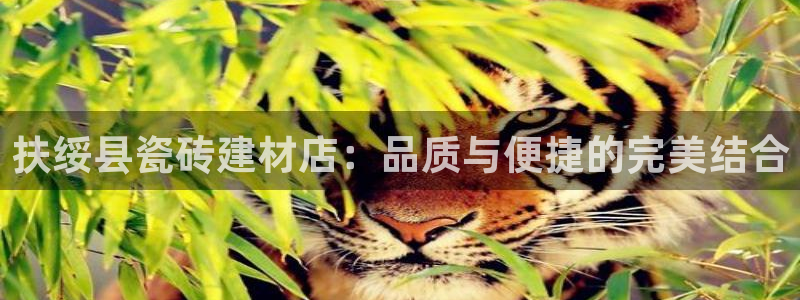 杏鑫娱乐平台测速
