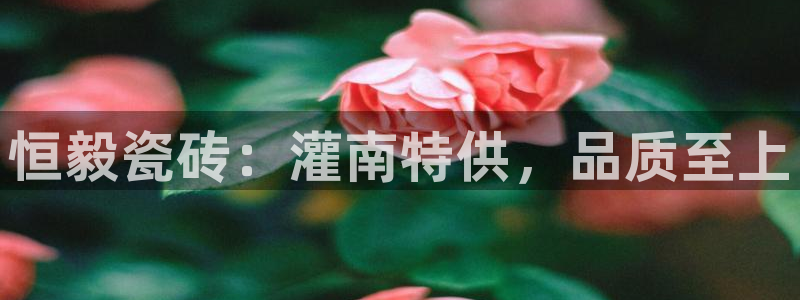 杏鑫平台招商电话号码查询