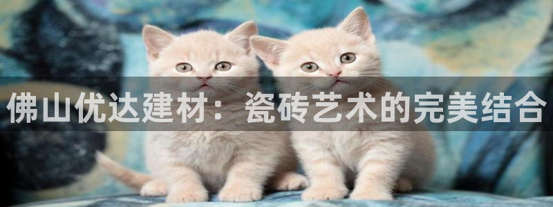 杏鑫平台登录地址在哪