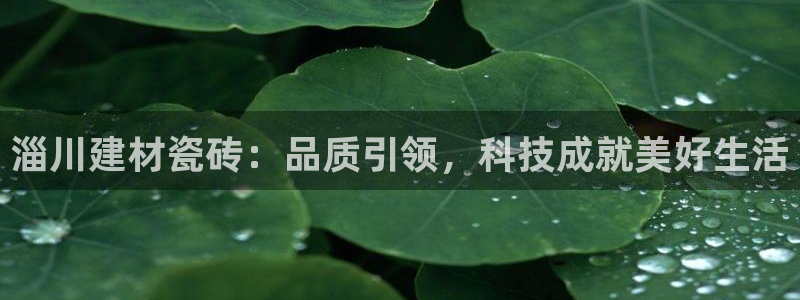 杏鑫官方平台怎么样啊