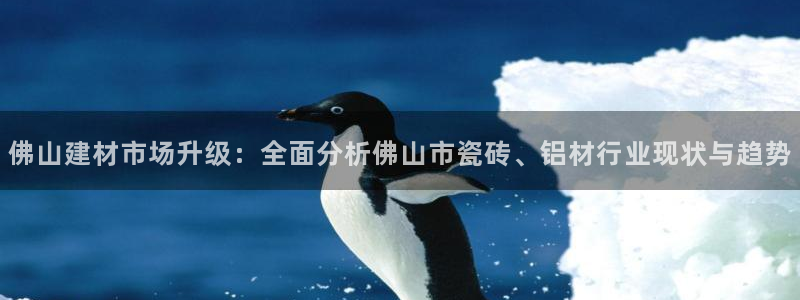 杏鑫招商总代