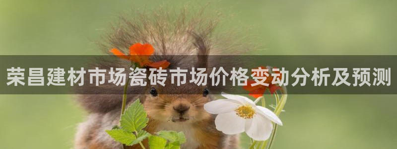 杏鑫平台是黑平台吗是真的吗