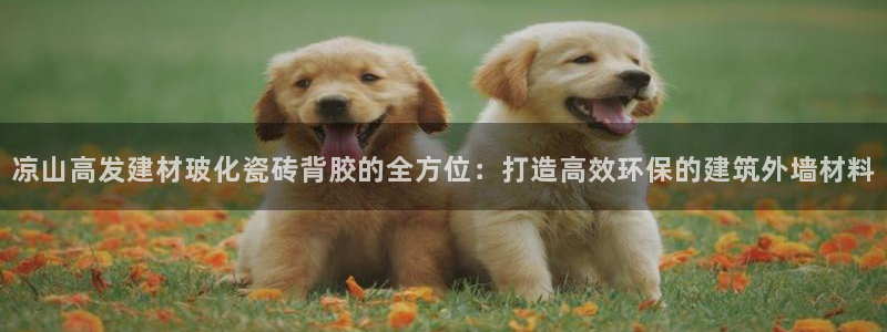 杏鑫娱乐官方网站客户端
