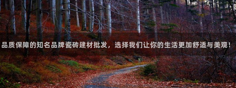 杏鑫平台登录注册