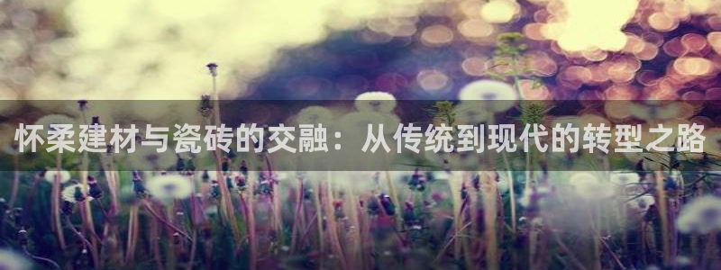 杏鑫官网注册账号是什么意思