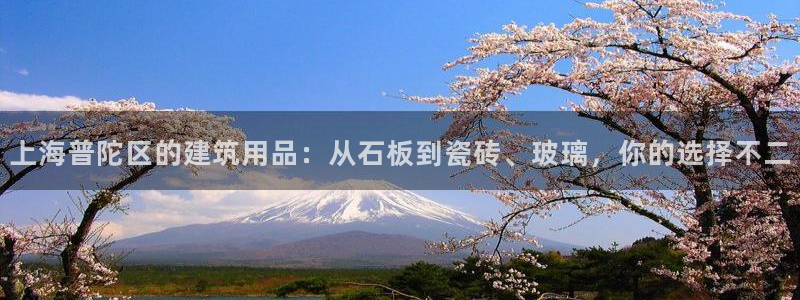 杏鑫平台代理注册流程