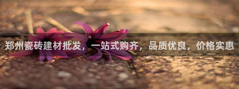 杏鑫平台登录地址查询