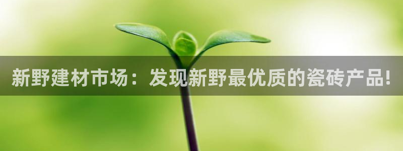 杏鑫平台招商电话