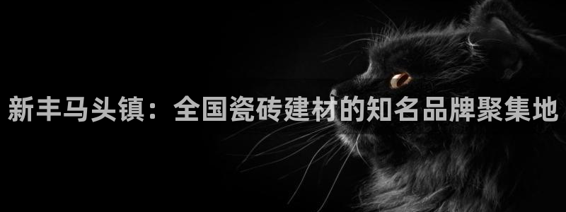 杏鑫平台登录地址在哪