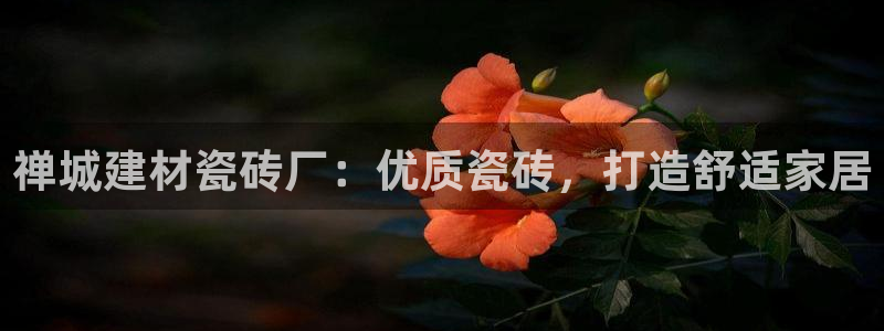 杏鑫官网注册账号怎么注册不了