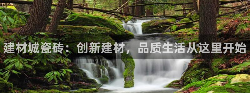 杏鑫平台代理注册登录不了怎么办呀视频