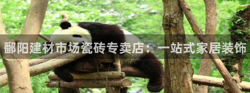 杏鑫代理注册资金多少