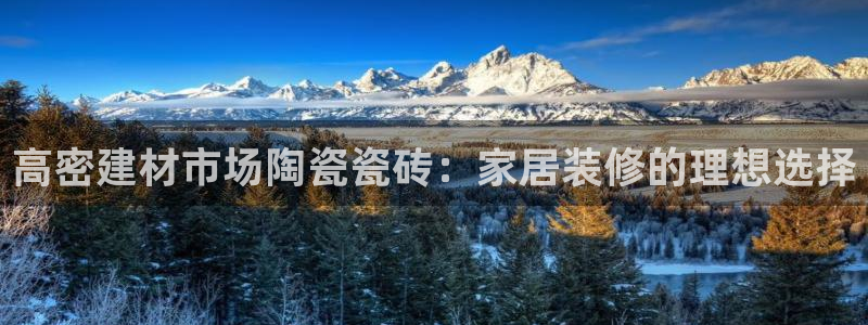 杏鑫平台直属哪个公司