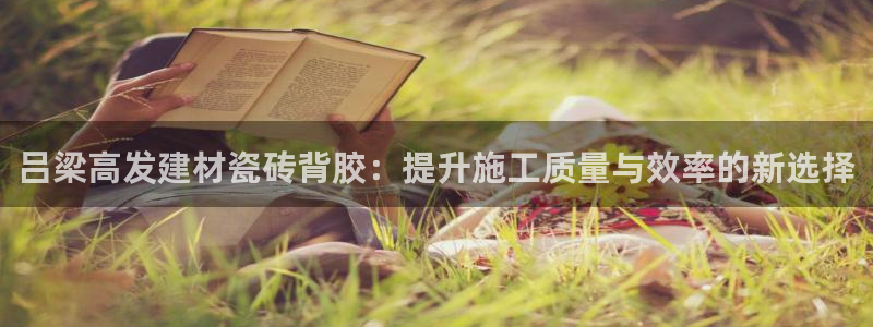 杏鑫平台注册入口在哪